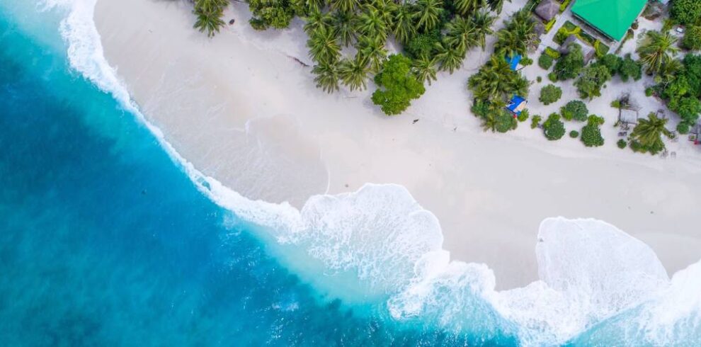 shifaaz shamoon Rl9l9mL6Pvs unsplash Seafarer Divers Phuket