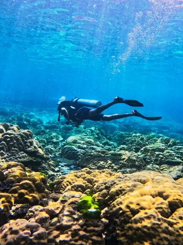Beginner divers experiencing Discover Scuba Diving at Koh Racha Yai and Phi Phi Islands in Phuket