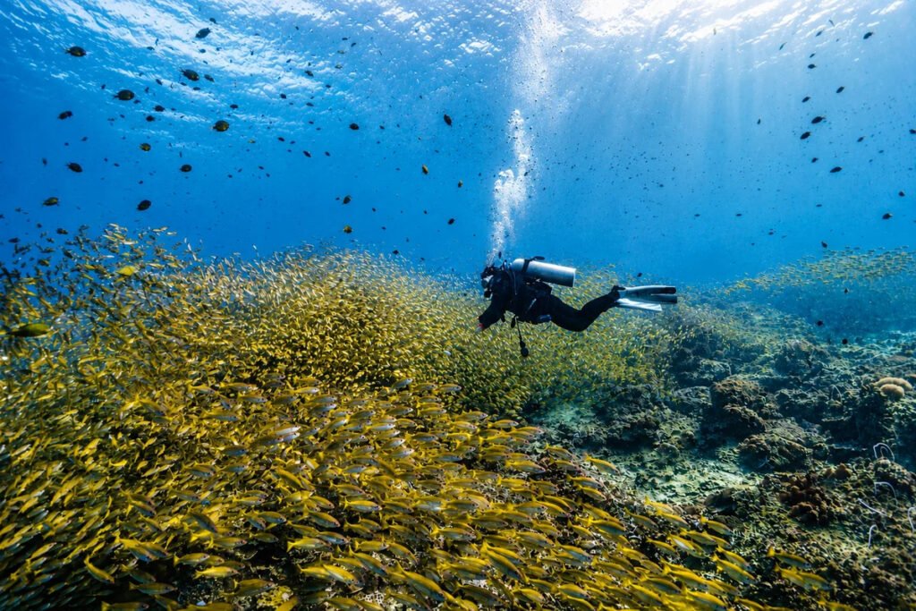 Scuba divers exploring a massive school of yellow fish over coral reef in Phuket
