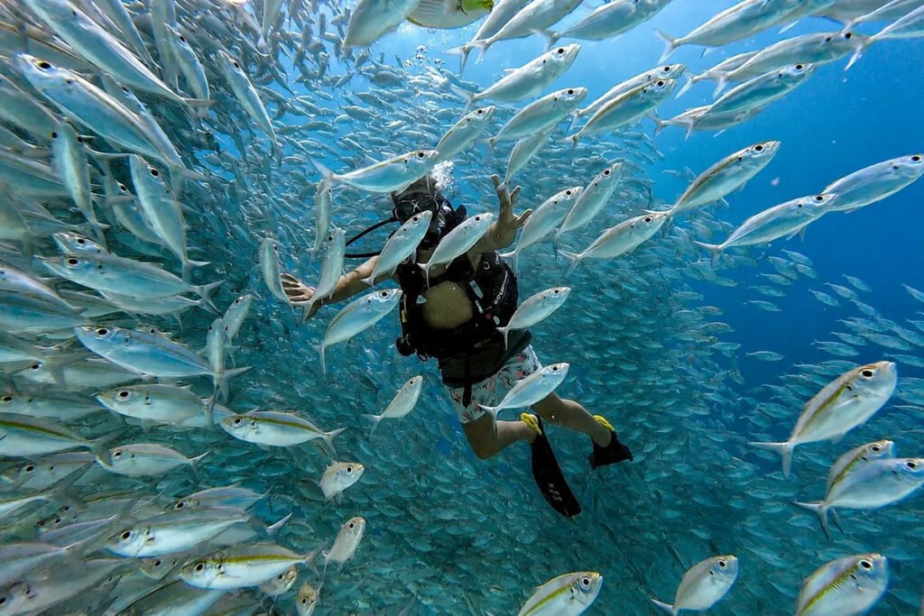 Scuba diver surrounded by tropical fish in clear blue water in Phuket
